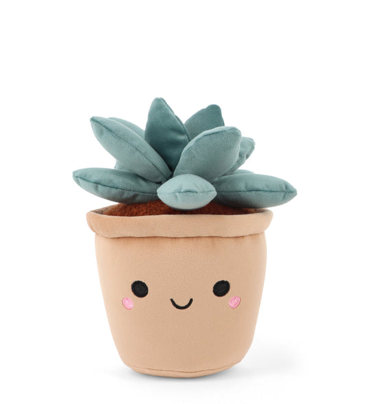 Keeleco Botanical Garden - Succulent Soft Toy 25cm
